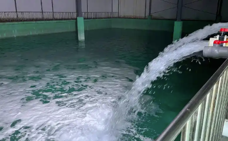 水处理消泡剂